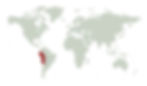 Inca Tern map graphic