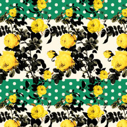 rosa e poás digital corrida