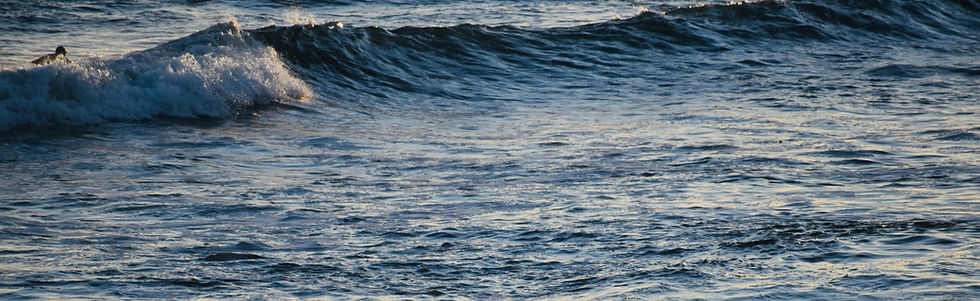 DSC_0632 2_edited_edited.jpg