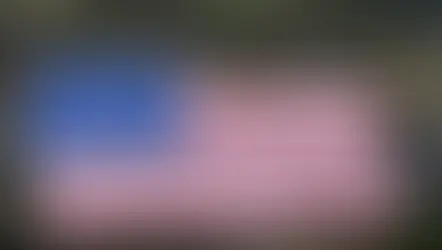 O bolsonarismo e a bandeira da traição