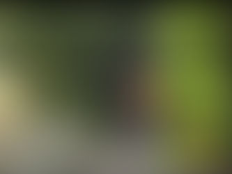 “A Family Portrait ” will première today at the Stedelijk Museum Amsterdam and it is sold out!