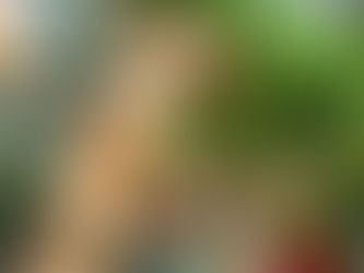 UN SERVICE DE DÉCORATION D'ARBRES DE NOËL À DOMICILE DANS LA RÉGION DE GRAD-SAULT