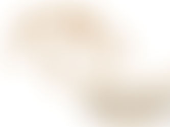 SURPLUS FINANCIER POUR LE FESTIVAL WESTERN DE SAINT-QUENTIN