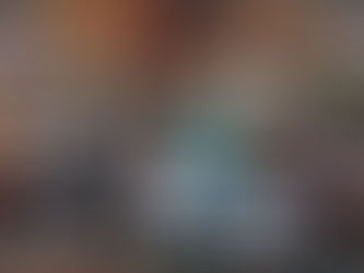 PLUS DE 1000 TOUTOUS AMASSÉS LORS DU MATCH DU BLIZZARD -