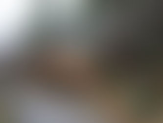 4e ÉDITION DU JARDIN EMBALLÉ CE WEEKEND AU JARDIN BOTANIQUE DE SAINT-JACQUES