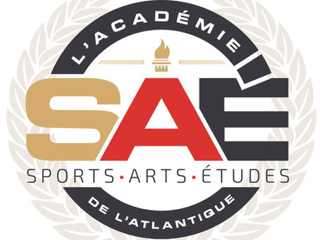 UN PROGRAMME SPORTS-ARTS-ÉTUDES EN ÉLABORATION DANS LE DSFNO