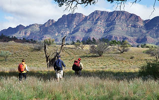 wilderness walking flinders ranges south australia