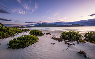 wilderness landscape coastal tasmania