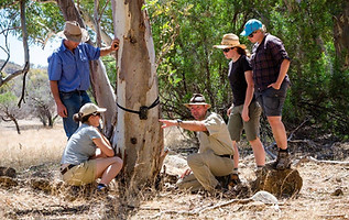 conservation and guide training flinders ranges