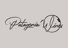 patagonia_icone.png