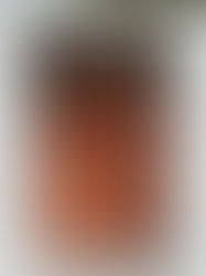 ประตูเล็กหน้าบ้าน