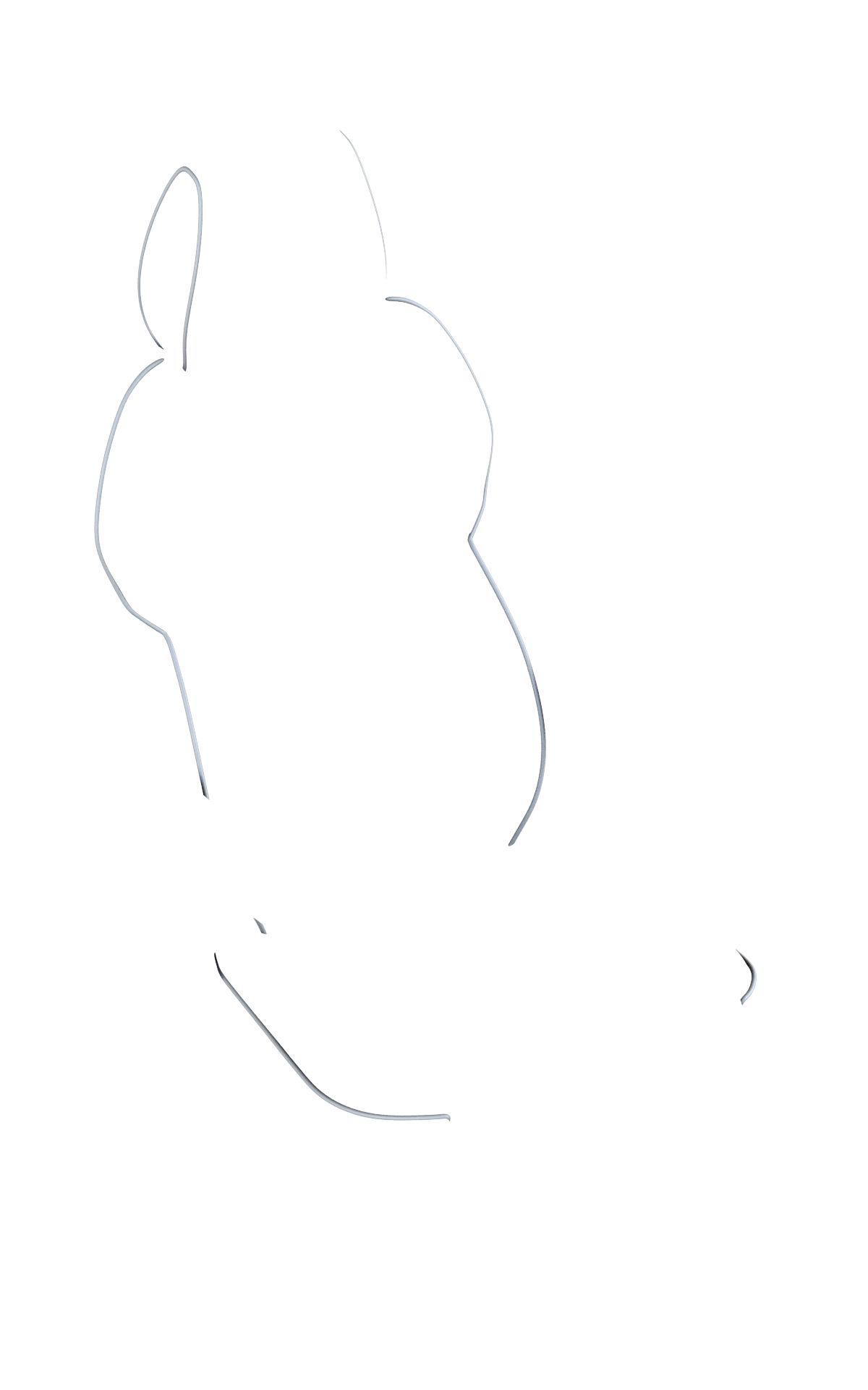 blank-slide.png