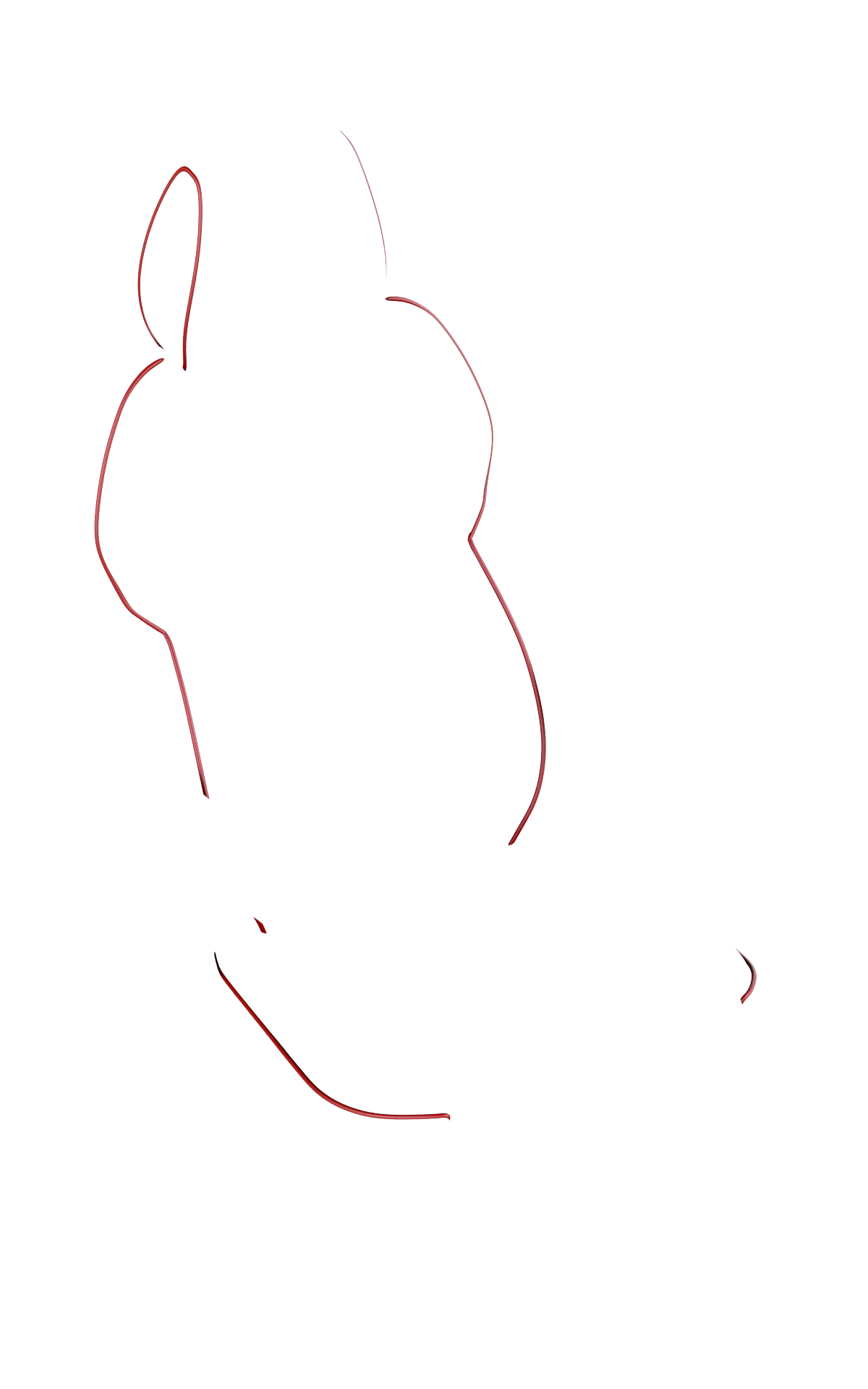 blank-slide.png