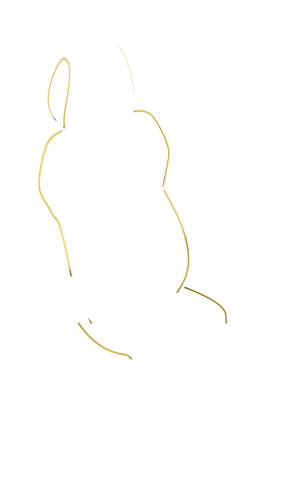 blank-slide.png