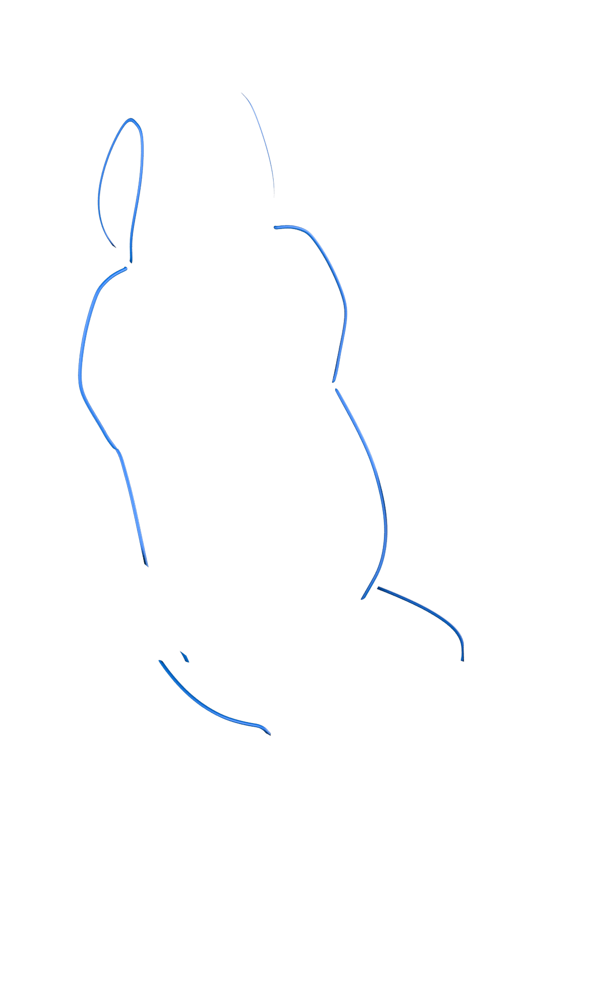 blank-slide.png