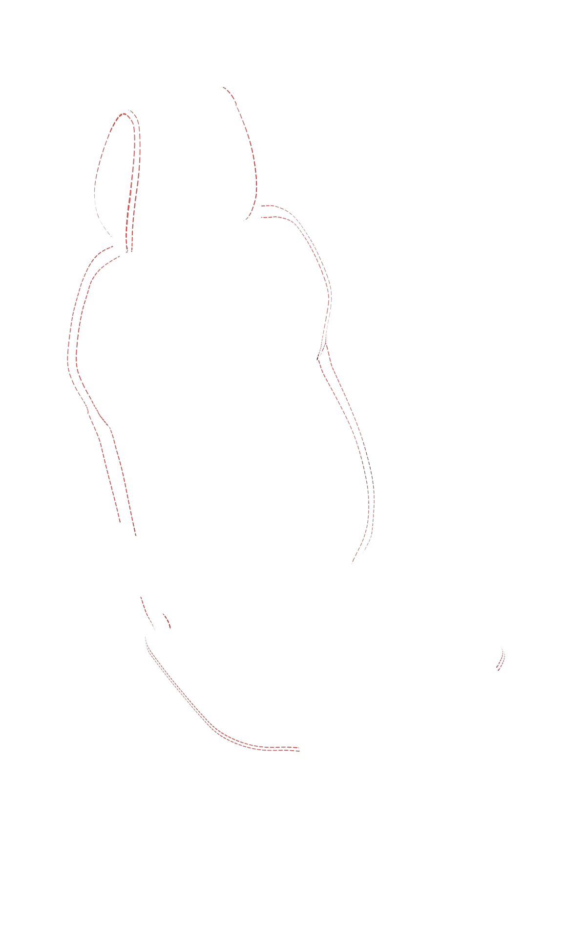 blank-slide.png