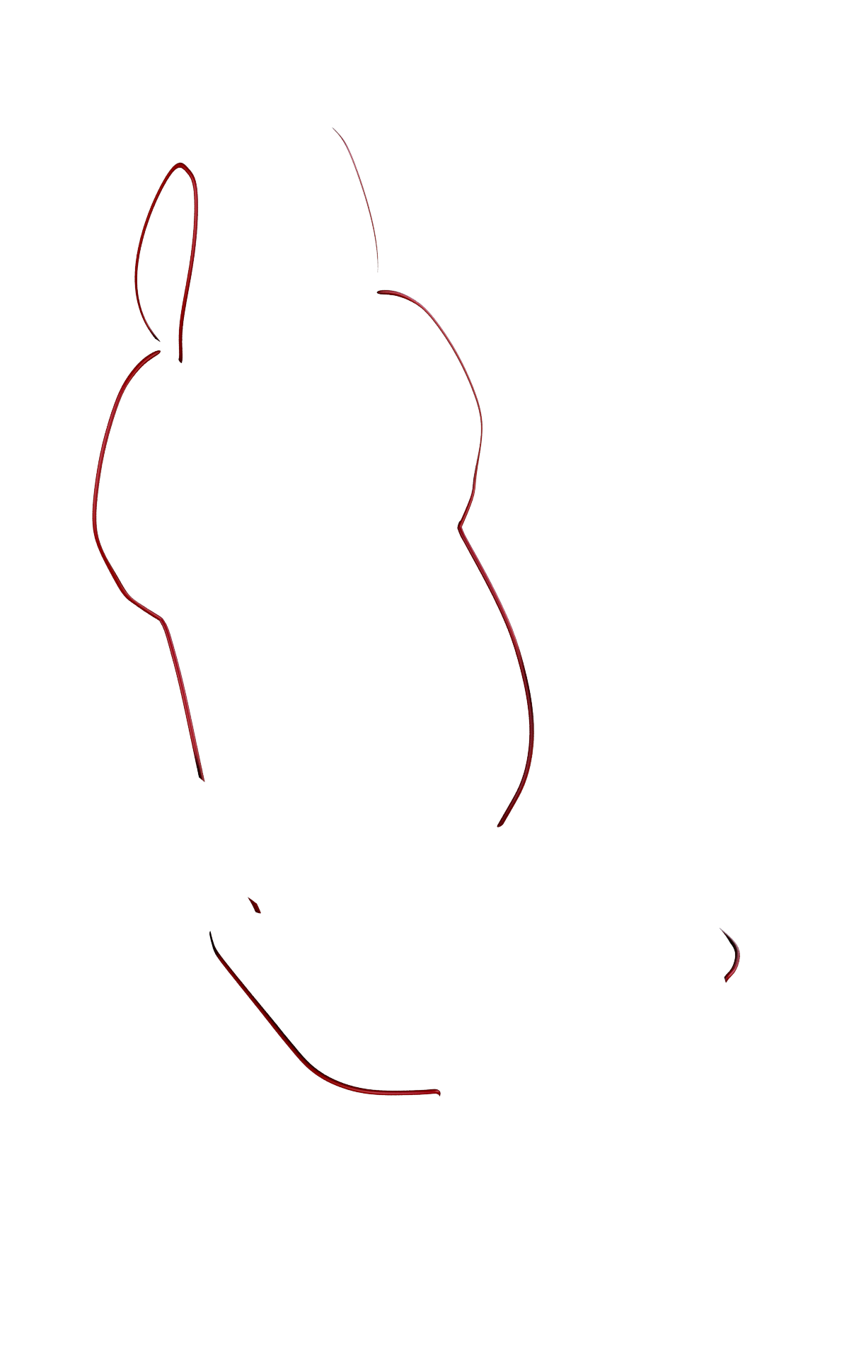 blank-slide.png