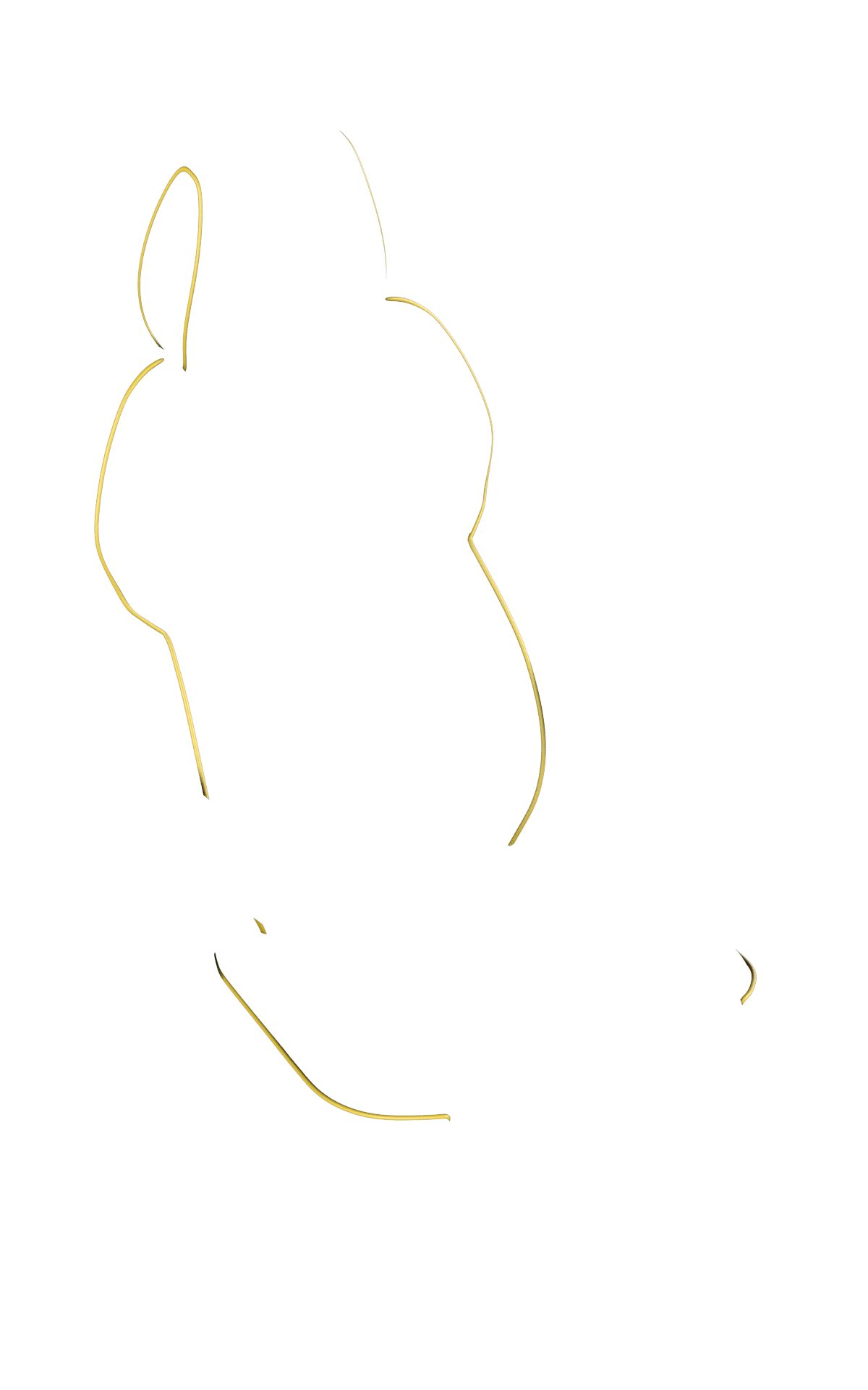 blank-slide.png