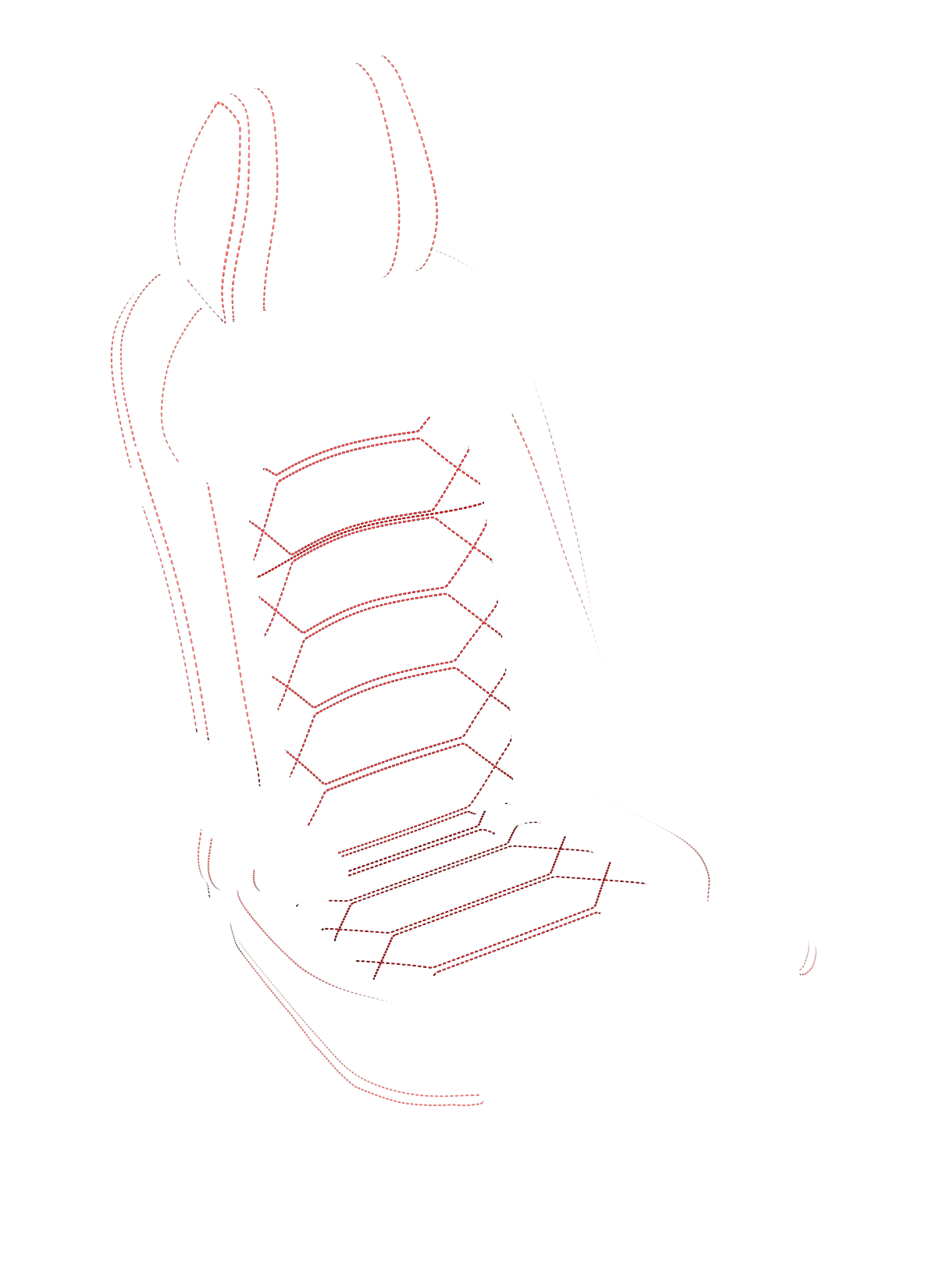 blank-slide.png