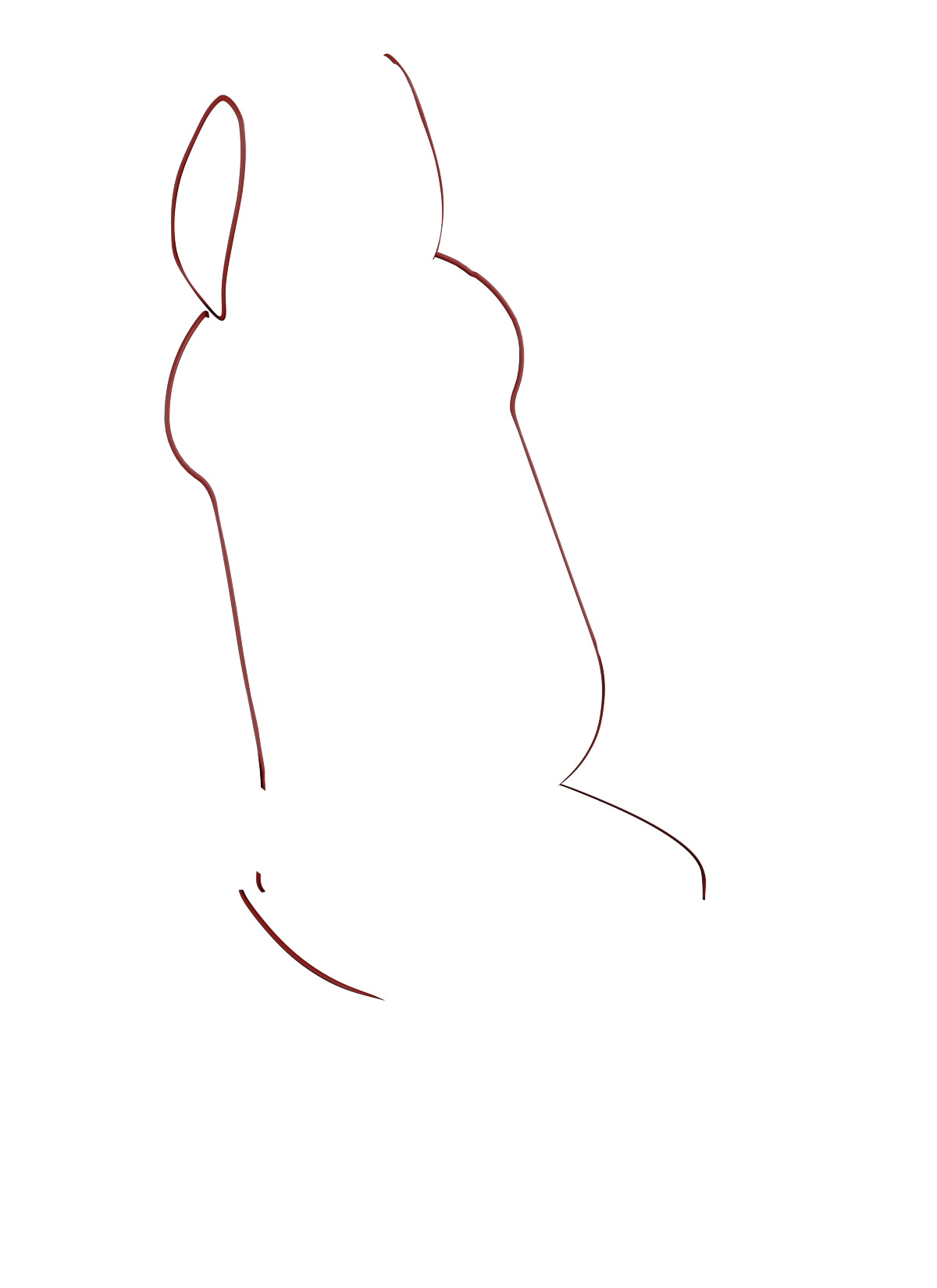 blank-slide.png