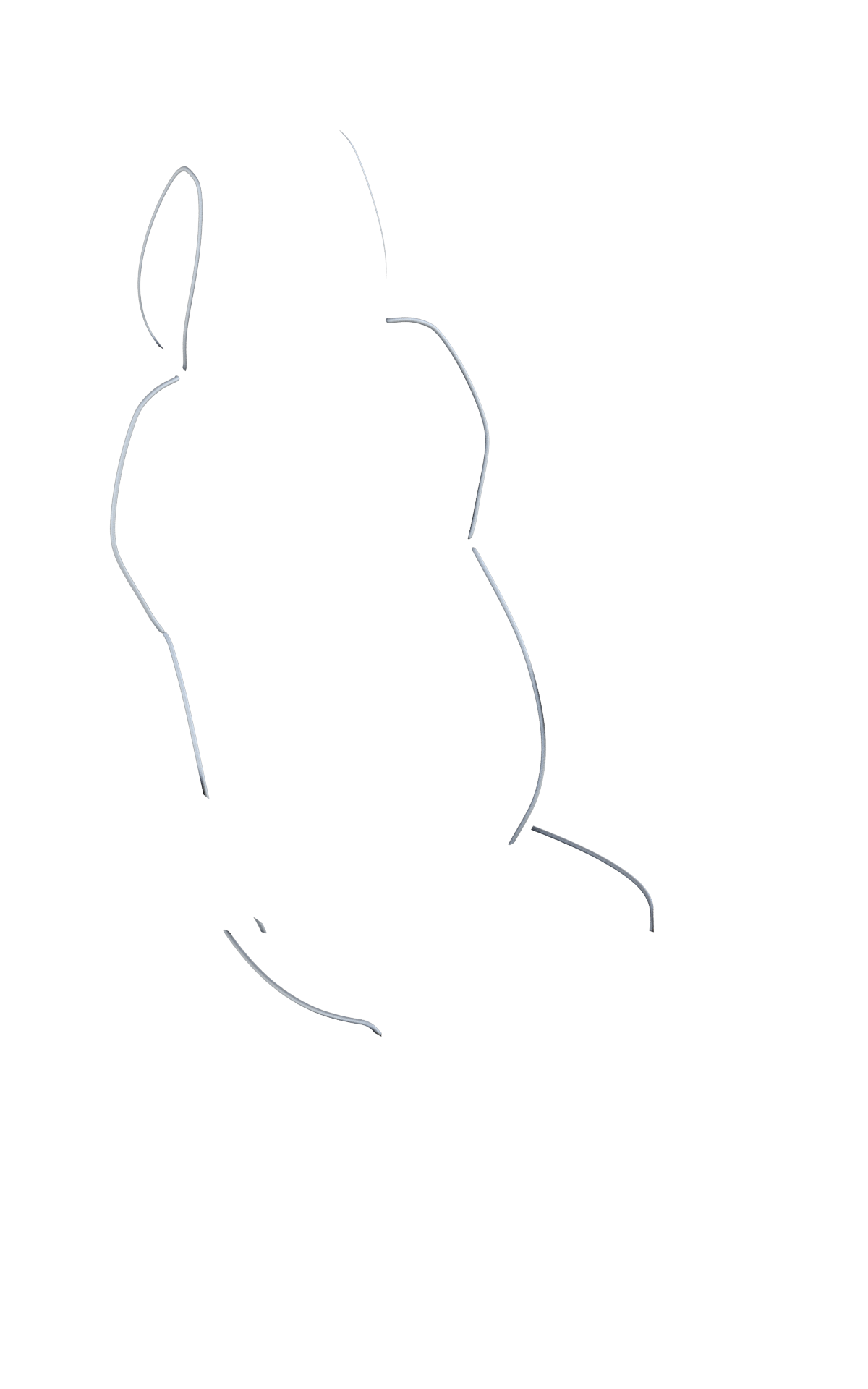 blank-slide.png
