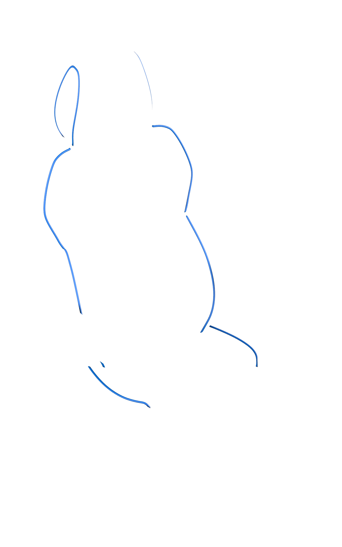 blank-slide.png