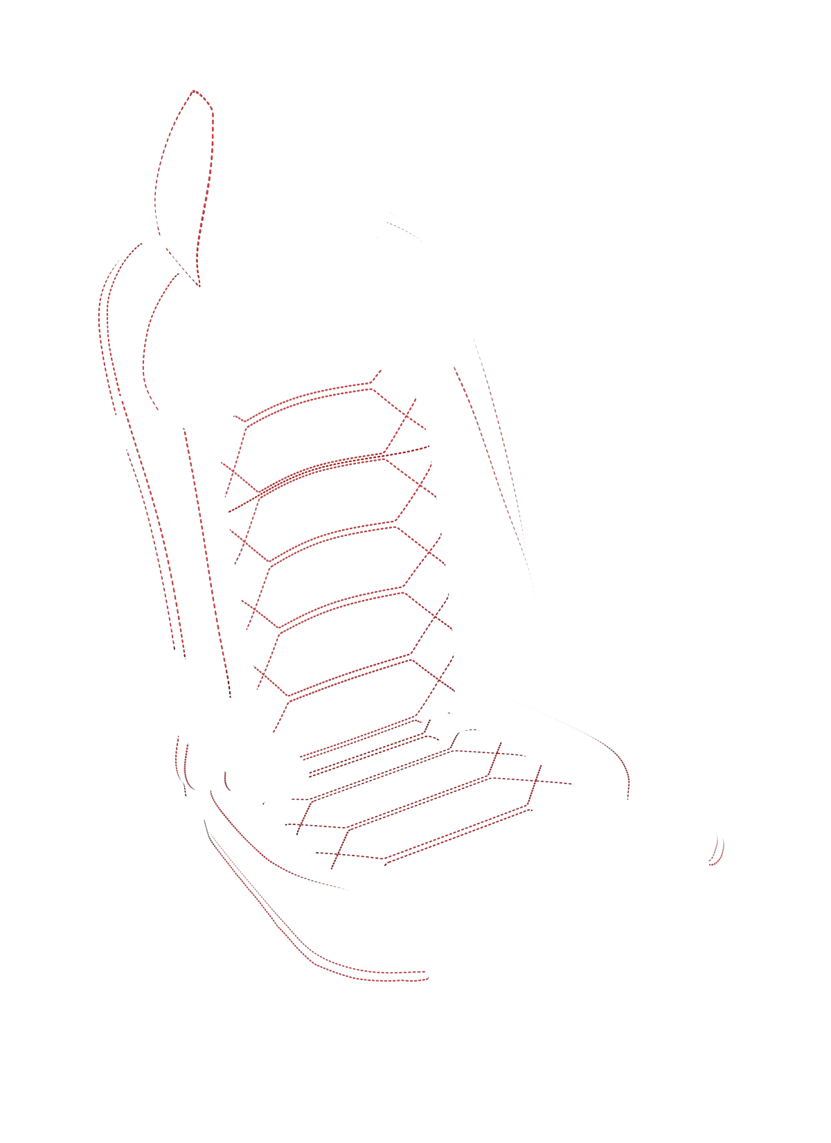 blank-slide.png