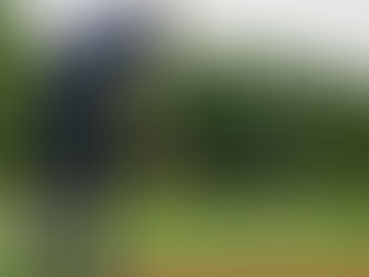                    Rules : "drop-drop-place"