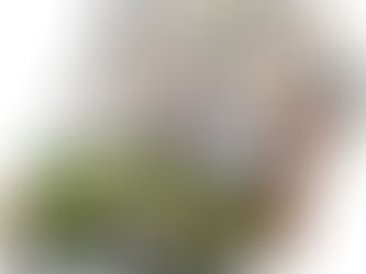 Whatsapp groepje SENIORS