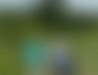                 Buddylijst voor beginners