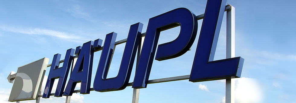 20 Jahre Firmenfeier Häupl-159 Kopie.jpg