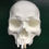 Thumbnail: Unpainted Resin Half Skull