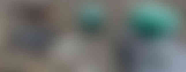 Northern BC septic installation by APX Contracting