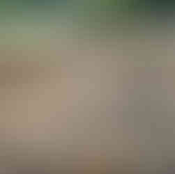 Type 2 pump system installation on Centennial Drive