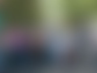 Piripiri assume gestão do Horto Florestal e lança programa de reciclagem “Recicla Piripiri”