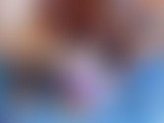 Piripiri realiza "Dia D" da Vacinação Antirrábica com grande participação popular