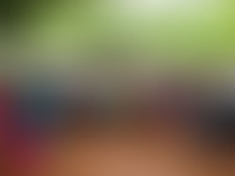 Prefeitura de Piripiri realiza entrega de mudas de caju para a comunidade 