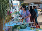Feira da Agricultura Familiar movimenta Praça Curumim em Piripiri