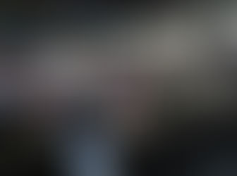 I Encontro de Meliponicultores e Apicultores fortalece cadeia produtiva do mel em Piripiri