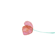 Design sem nome (34).png