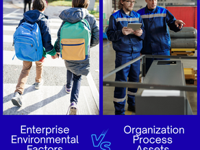 Understanding Your Project Environment: EEFs vs OPAs