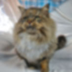 20221120_150050