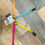 Thumbnail: 24" Two Dog Coupler