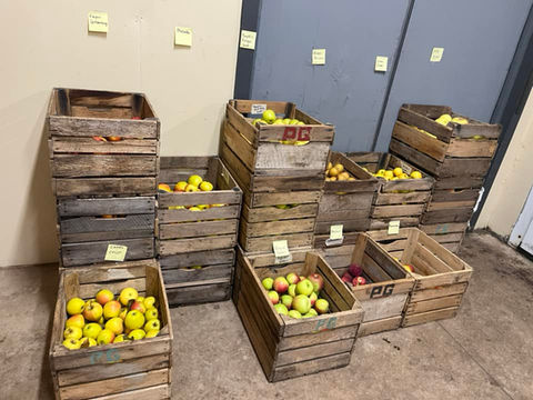 Hammen Family Orchard & Winery variety of apples in creates