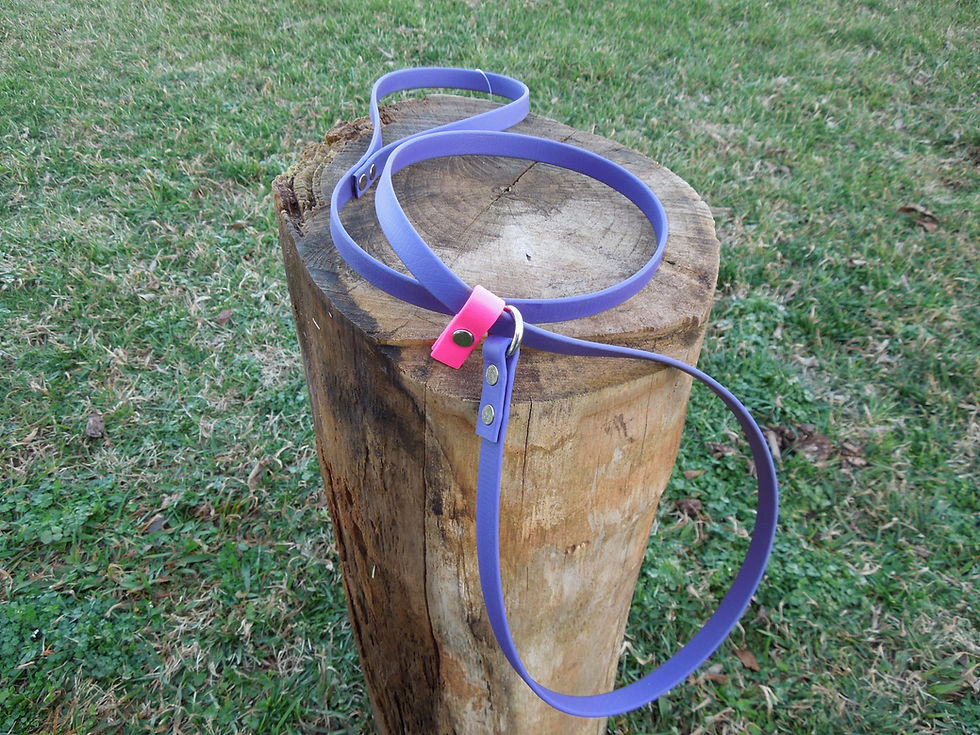 Thumbnail: 3/8" Pack Light Slip Leash