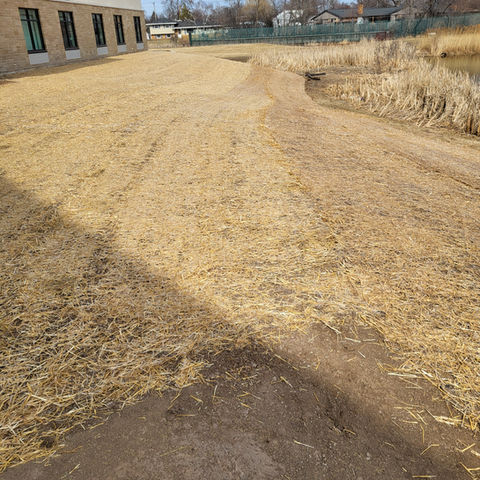 grass seed installation with hay on top to help grow