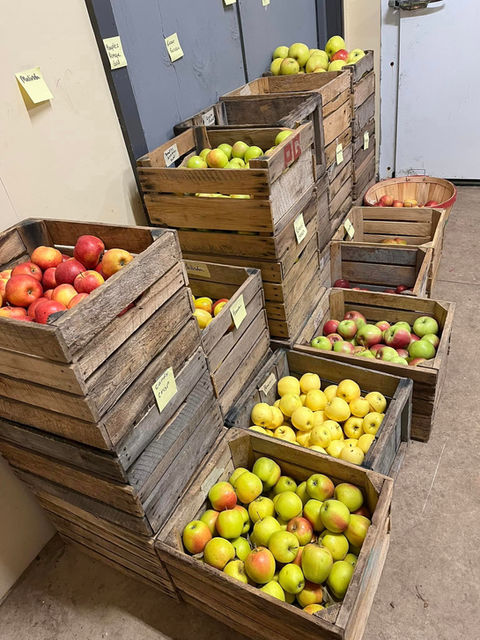 Hammen Family Orchard & Winery variety of apples in creates