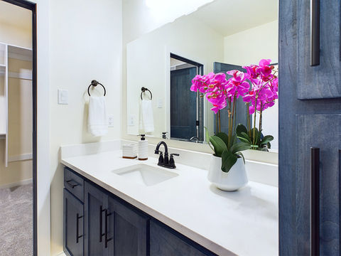 Fox Valley Staging and Design Bathroom