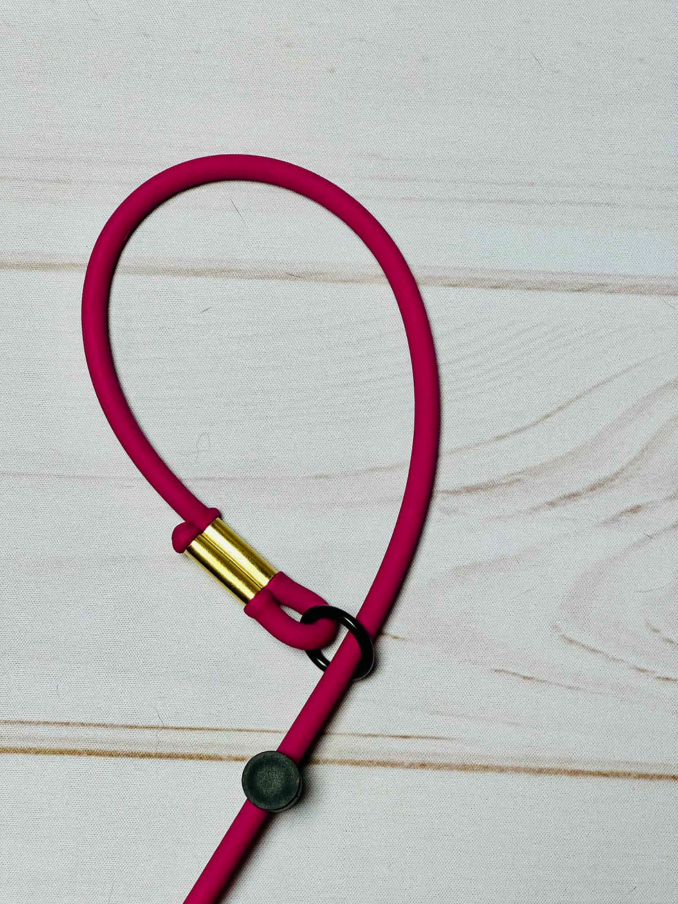 Thumbnail: 1/4" Rope Slip Leash