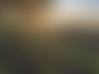 Csa sign up!! Enrollment ending soon!